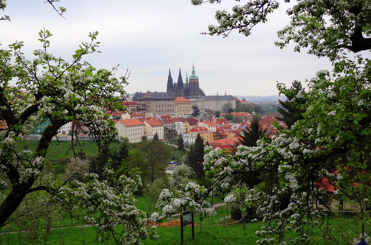 Prague Castle from walk to Petrin Tower